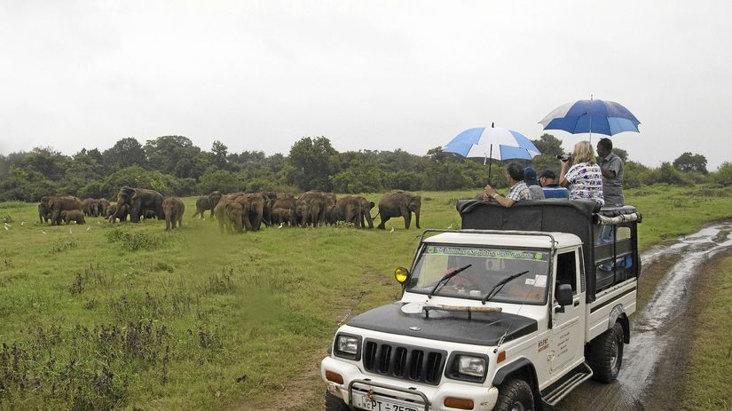 Safari v národnom parku Kawudulla.