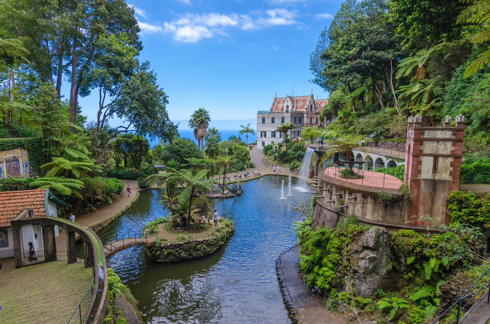 Funchal, Portugalsko, záhrada, voda, potok, vodopády, raj, ostrovček, palma, leto, dovolenka