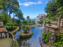 Funchal, Portugalsko, záhrada, voda, potok, vodopády, raj, ostrovček, palma, leto, dovolenka