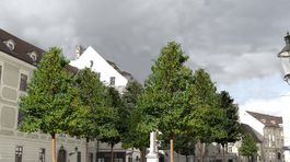 Na Františkánskom a Hlavnom námestí v Bratislave vysadia stromy