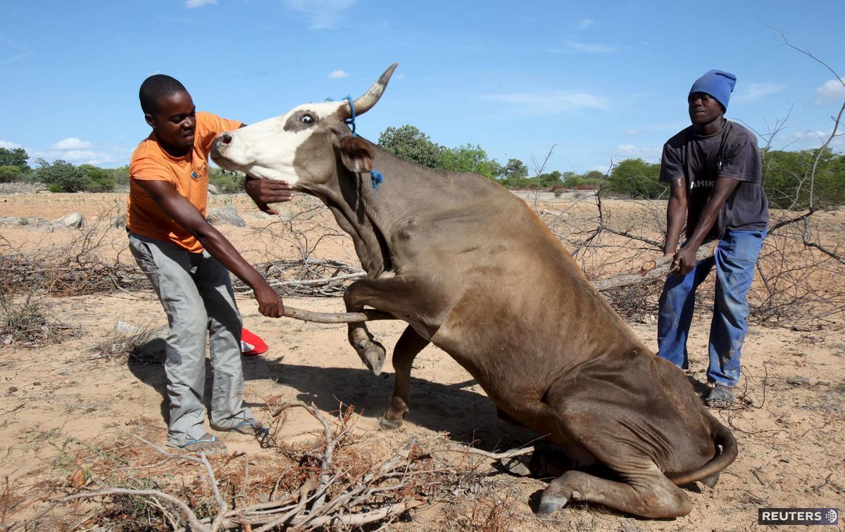 Asi trom miliónom obyvateľov Zimbabwe hrozí...