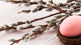 Obchody by mali byť zavreté aj celý Veľkonočný pondelok