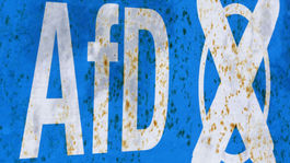 Prečo je AfD problém