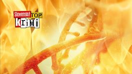 Pri Krv nie je voda Dominika Dána stuhne krv v žilách