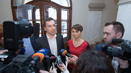 Erik Tomáš obviňuje z nátlaku na matku Natálie stranu SaS