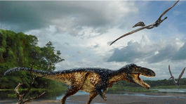 T-rex ovládol súš vďaka mozgu