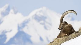 Švajčiarsko prišlo za 5 rokov už o desatinu svojich ľadovcov