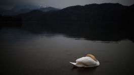 Zatopená dedina duchov by mohla opäť uzrieť svetlo sveta