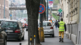 Stromy v Bratislave padajú na kolená 