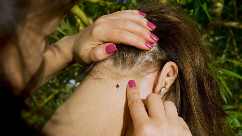 Po prechádzke v prírode, ale aj po pobyte v...