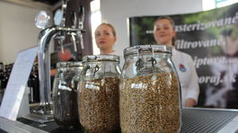 pivo, salon piva, jačmeň