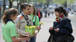Narcisy opäť spojili ľudí v boji proti rakovine