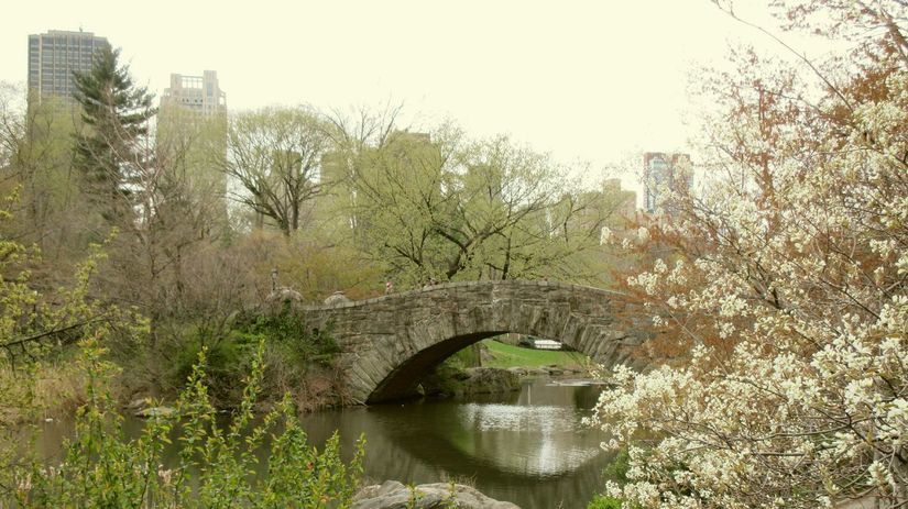 Central Park