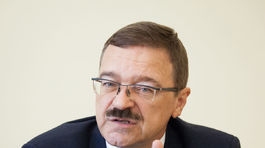 Veľvyslanec Hamžík: Slovensko chcú vyšachovať Nemci, Česi a Rakúšania