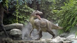 Dinosaury vymierali dávno pred dopadom meteoritu