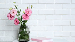 Náš tip! Takto vydržia rezané kvety dlhšie čerstvé! 