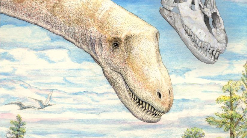 dinosaurus, titanosaurus