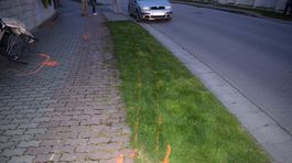 Vodič zrazil ženu s kočíkom, tá neprežila