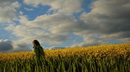 Seriál o vrchoch: O záhadnej strate orientácie na Tribeči hovoria turisti i hubári