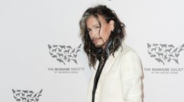 Steven Tyler počas charitatívnej akcie  "To the...