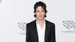 "To the Rescue: Saving Animal Lives" Gala and Fundraiser