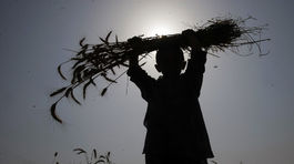 Azda posledné Amazonky na svete bránia svoj 'ostrov žien'