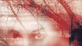 Ruth Wareová - Pozvanie. Za veľkými oknami naozaj niekto je...