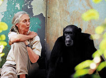 Jane Goodallová