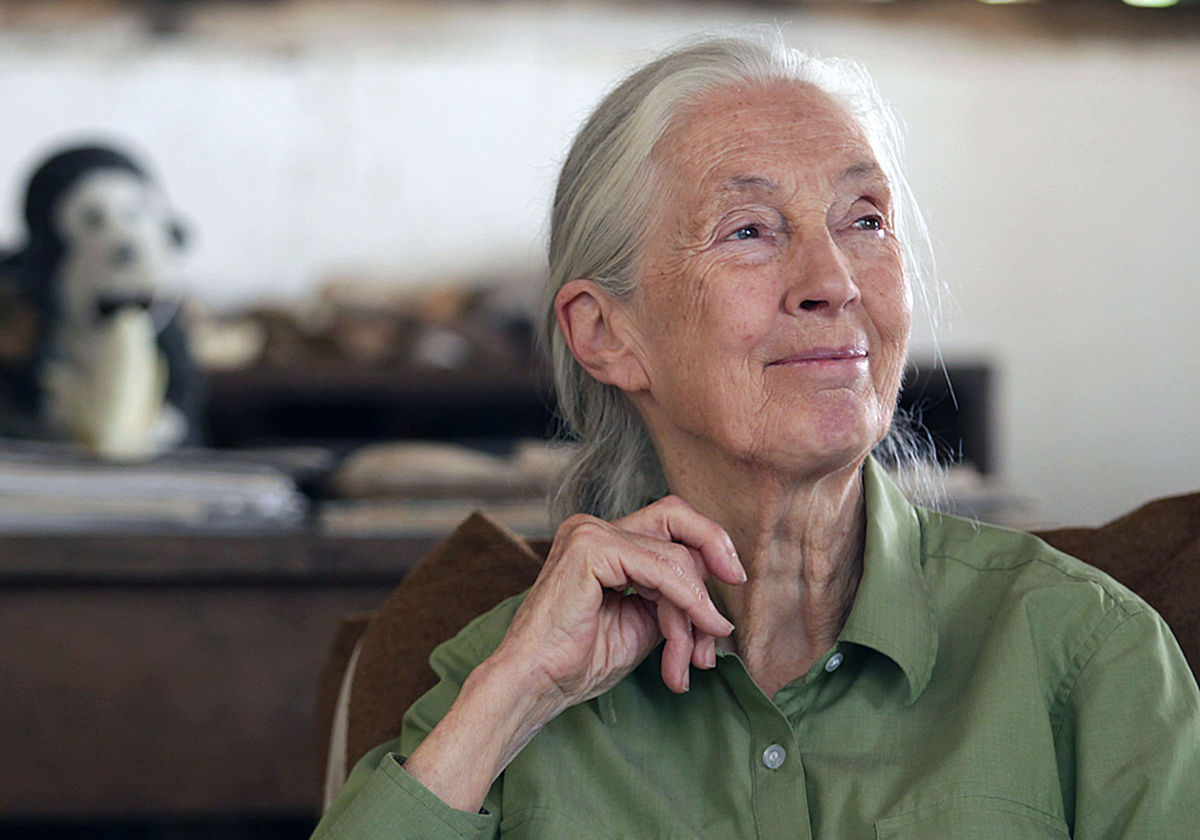 Jane Goodallová
