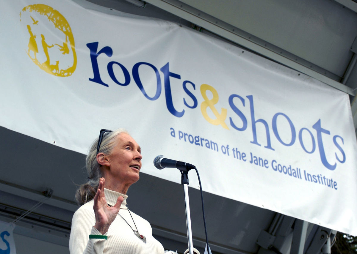 Projekt Roots and Shoots prichádza aj na...