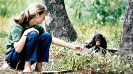 Jane Goodallová učí, ako žiť v harmónii s prírodou