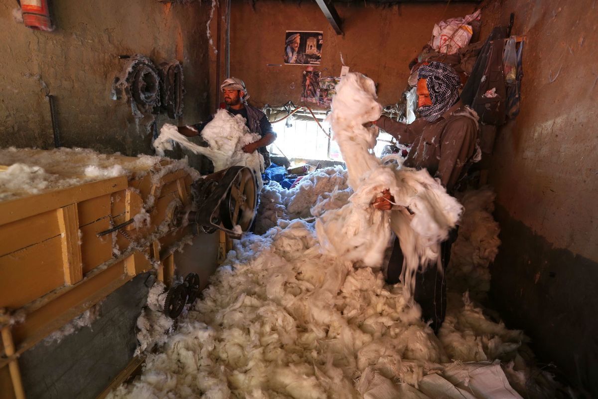 Afganistan, bavlna,