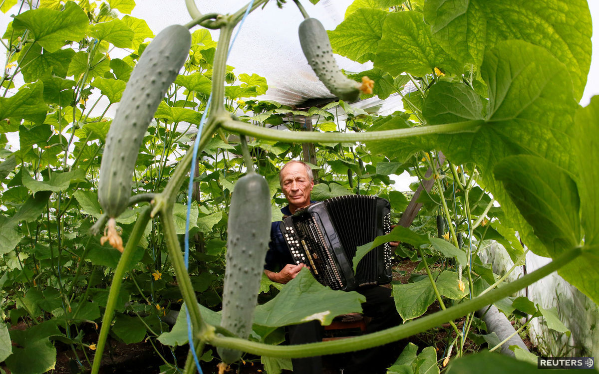 Farmár Valerij Danilenko (55), ktorý pestuje...