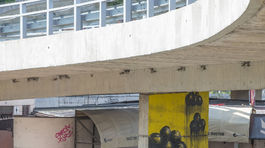 Zničené hniezda, žiaden vinník, len výhovorky