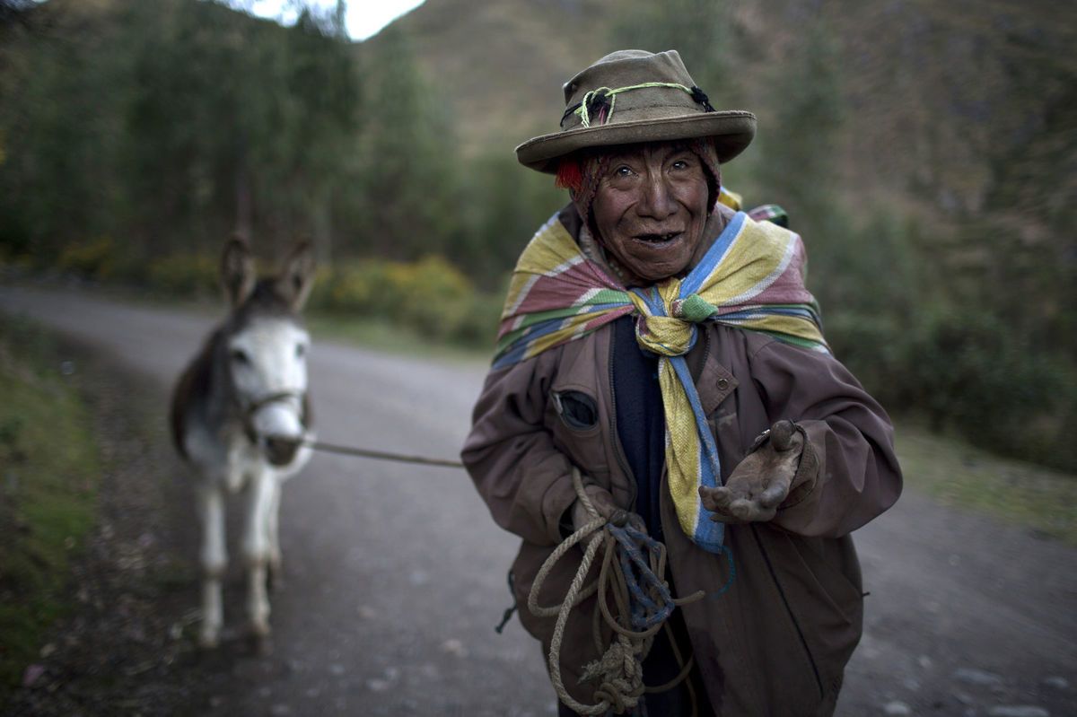oslík, somárik, muž, chovateľ, Peru, Cusco,