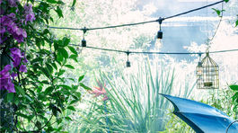 tropický look - džungľa - bytový dekor