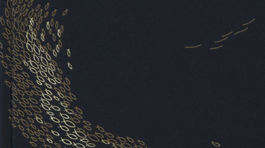 Jón Kalman Stefánsson: Ryby nemajú nohy 