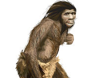 Neanderthal plate
