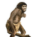 Neandertálec
