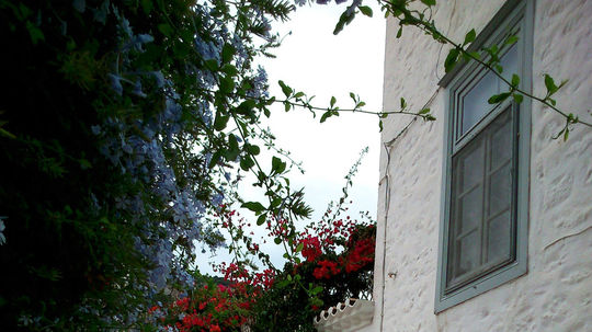 Dom Leonarda Cohena na Hydre.