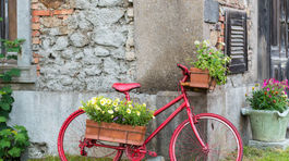Čo so starým bicyklom? Obsypte ho kvetmi a šup s ním do záhrady