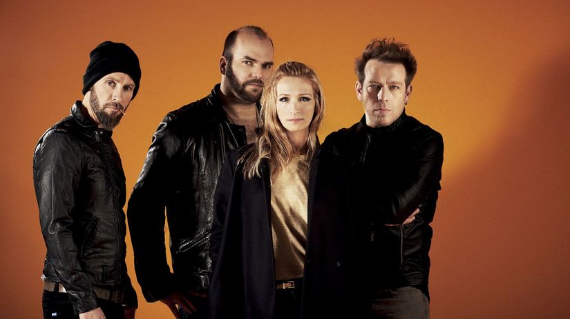 Topfest Guano Apes
