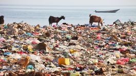 Plastový odpad sa dostal až na dno Mariánskej priekopy