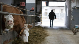 Mladí sa nehrnú do maštalí ani za tisíc eur