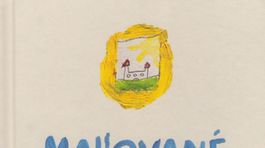 Pavel Dvořák, kolektív autorov: Maľované dejiny Bratislavy 