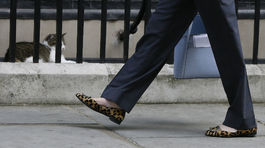 Cameron odchádza a pospevuje si, premiérsky kocúr adresu nemení 