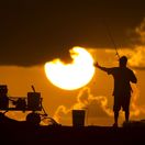 Florida, slnko, rybár, udica, rybársky prút, Atlantický oceán, východ slnka, ráno
