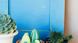 Nápad sa počíta! Päť netradičných dekorácií, ktoré si urobíte sami