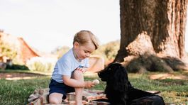 Princ George pri hre so rodinným psom Lupom. 
