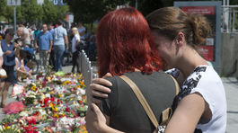 Strelec z Mníchova plánoval útok vyše roka. Mal zbraň zo Slovenska?